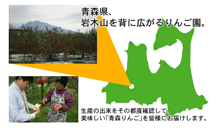 【11月中旬頃発送】一華ベジフル 青森 リンゴ サンふじ 家庭用 3C箱(3kg箱:約7～10個入) りんご 青森県産 蜜入り リンゴ 林檎 りんごジュース ギフト 御歳暮 お歳暮 フルーツ 果物 青森県 お土産 お取り寄せ 販売 通販 2026 訳あり【送料無料】