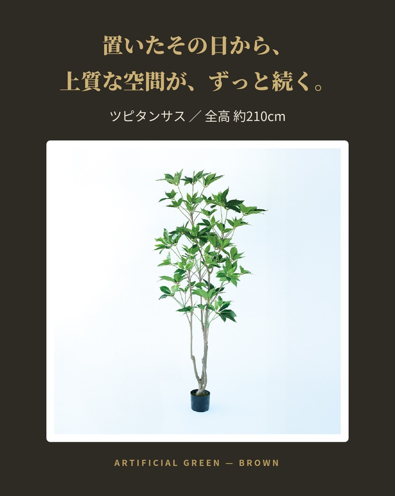 観葉植物 造花 ツピタンサス BROWN 全高約210cm 大型 3本立ち フェイクグリーン 高級 本物そっくり リアル おしゃれ インテリア 人工観葉植物 アーティフィシャルグリーン オフィス 店舗 ホテル 開店祝い 室内 リビング 玄関 風水 ツピダンサス