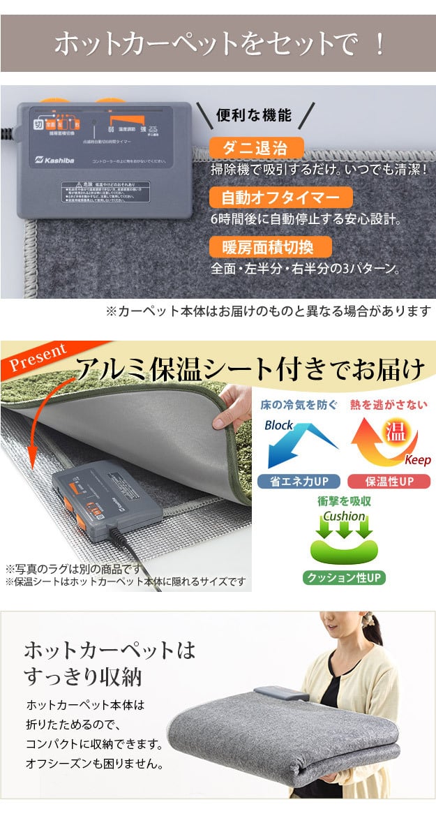 ホットカーペット カバー 防水 木目調ホットカーペット・カバー-ウッディ 2畳用(200x198) ホットカーペット本体 2点セット ラグ リビングマット フローリング調 クッション性 抗菌 防カビ 防汚 防水 日本製 床暖房対応 ペット 子供 あったか