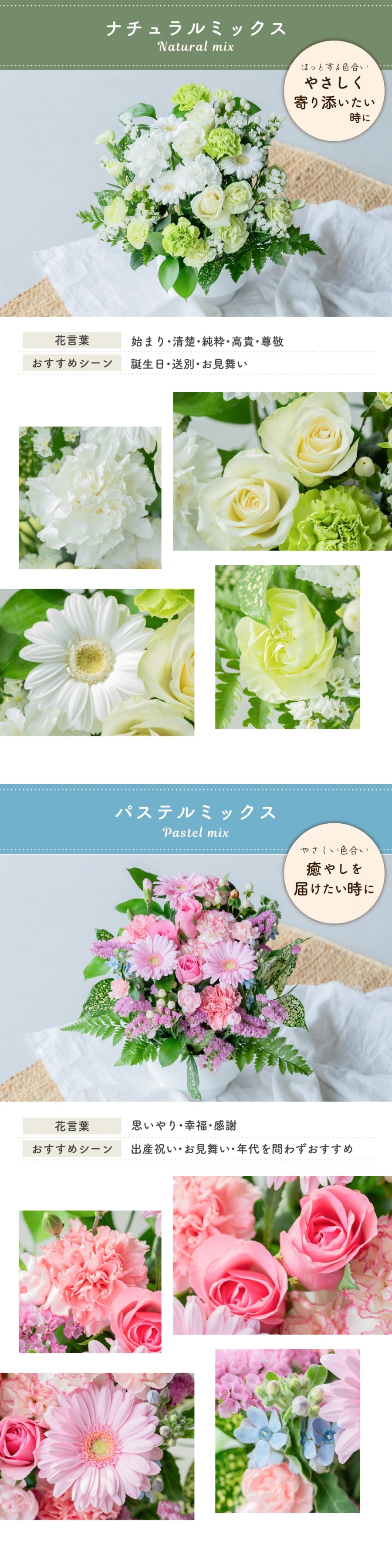フラワーギフト カラフルガーデンフラワーアレンジメント Mサイズ 生花 花市場から直送 父の日  お祝い 誕生日 記念日