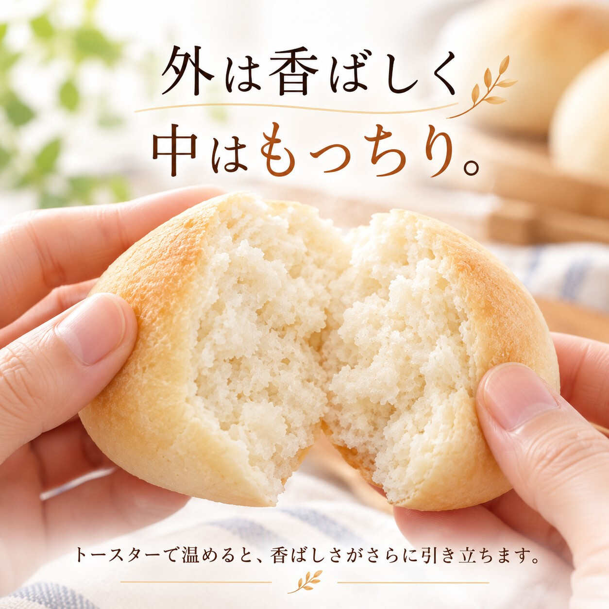 グルテンフリー・ヴィーガン 米粉まるパン 10個入り 生酵母使用