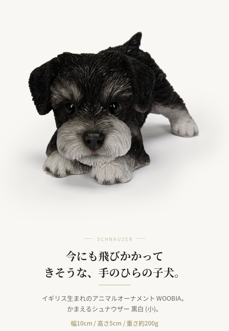 犬の置物 woobia ウービア かまえるシュナウザー 黒白 小 子犬 10cm 手のひらサイズ リアル動物オーナメント イギリス職人手彩色 玄関 デスク インテリア 縁起物 誕生日 お礼 退職祝い 新築祝い お祝い ギフト プレゼント かわいい