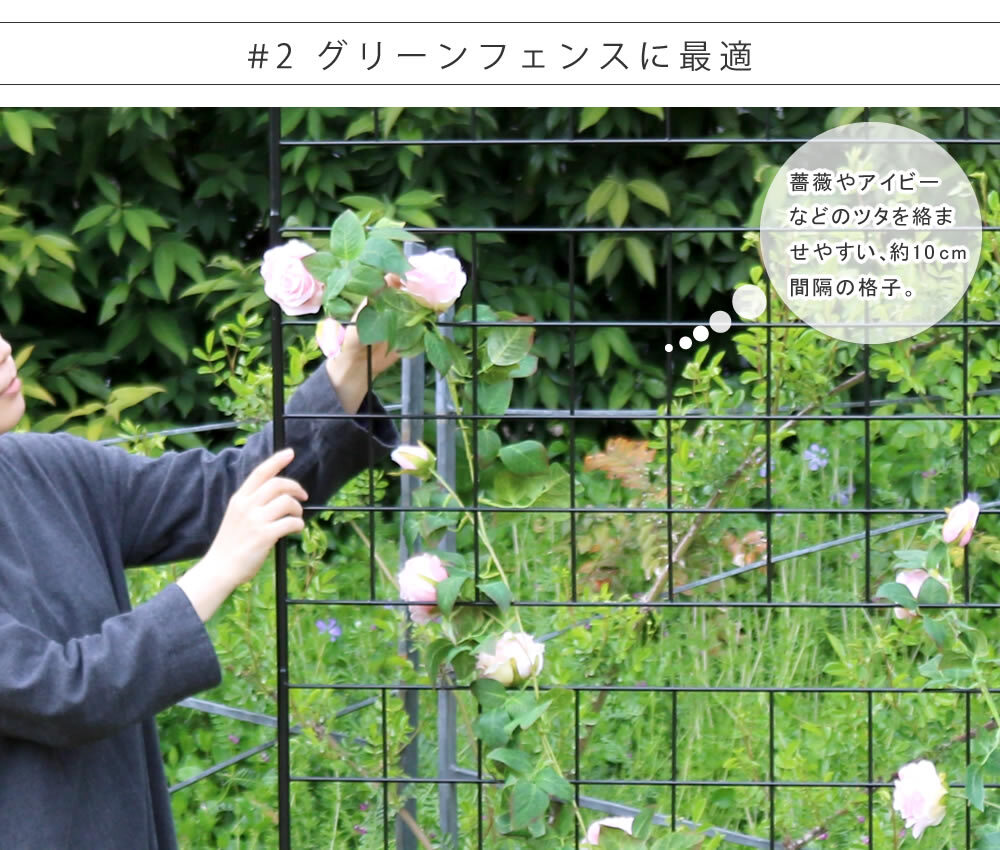 ガーデン エクステリア アイアンフェンス 高さ176 「グラフ」 1枚 送料無料 フェンス アイアン ガーデニング 枠 柵 仕切り 目隠し 境目 クラシカル アンティーク 格子 ベランダ つる 薔薇 バラ 朝顔 園芸 ラティス つるバラ 庭誘引 屋外