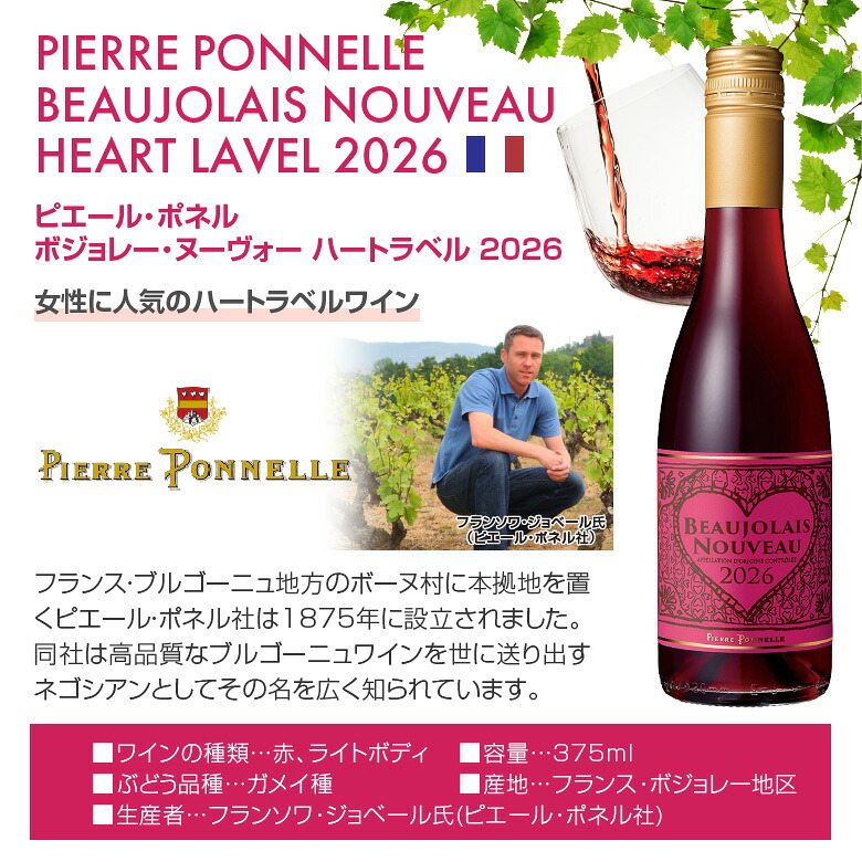 ワイン【ハーフサイズ6種 飲み比べ】 拘りのヌーヴォーを気軽に楽しむ ボジョレー ヌーボー 2026 瓶 ハーフボトル 6本セット 赤4・ロゼ1・オレンジ1 (各375ml) ヴィラージュ・ヌーヴォー 送料無料 11/19(木)解禁 【包装済】 ◎