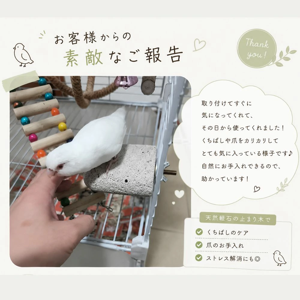天然木 小鳥用ステップ 止まり木 ステージ 木製スタンド ケージ取り付け インコ オウム 文鳥 鳥用用品