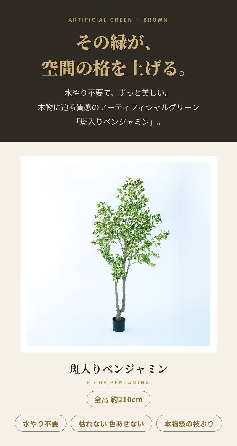 観葉植物 造花 斑入りベンジャミン BROWN 全高約210cm 大型 フェイクグリーン 高級 本物そっくり リアル おしゃれ 明るい インテリア 人工観葉植物 アーティフィシャルグリーン オフィス 店舗 ホテル 開店祝い 室内 リビング 玄関 風水 ベンジャミナ