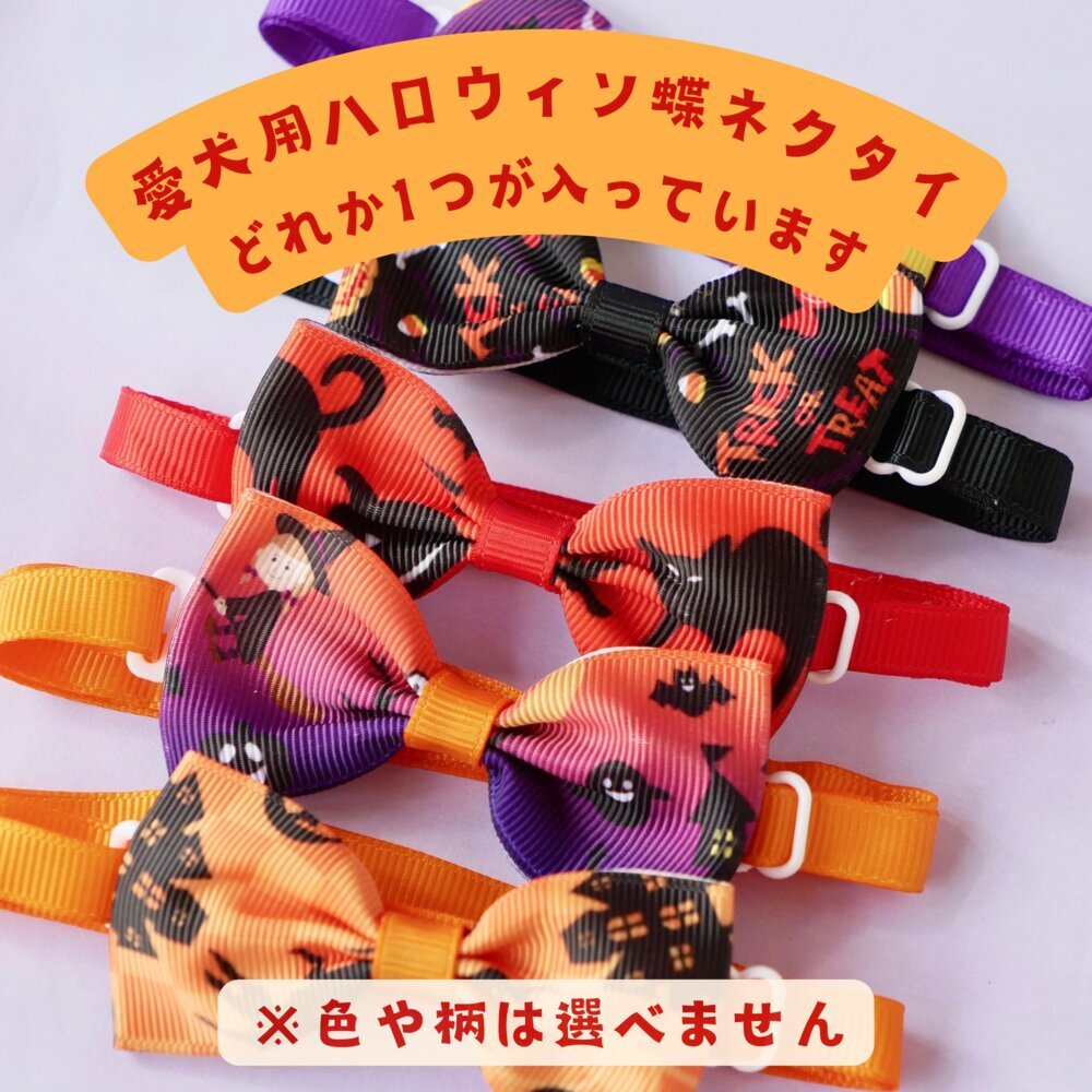 ハロウィン【パンプキンドッグ】