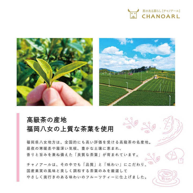 食べるフルーツティー 国産無添加 ギフトセット｜砂糖不使用 八女茶 和紅茶 ドライフルーツ 乾燥果実 フルーツティー おしゃれ お茶ギフト 誕生日 お祝い 母の日 お歳暮 お年賀 クリスマス プレゼント