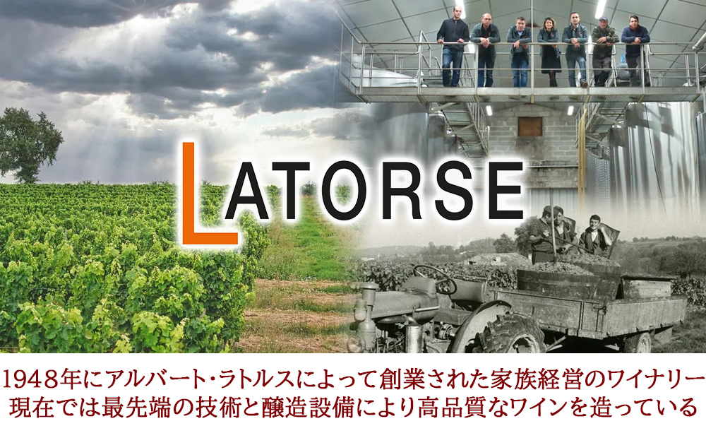 クリスマスギフト チョコレートとワイン スイーツギフトセット【無料 リボンラッピング メッセージカード】フランス ボルドー 赤ワイン 白ワイン 辛口 375ml 2本 ハーフボトル ベルギーチョコレート ミルク ビター ピスタチオ 塩キャラメル 3種 カフェタッセ おしゃれ 内祝い お返し 誕生日 記念日 御祝 ギフト箱付  送料無料