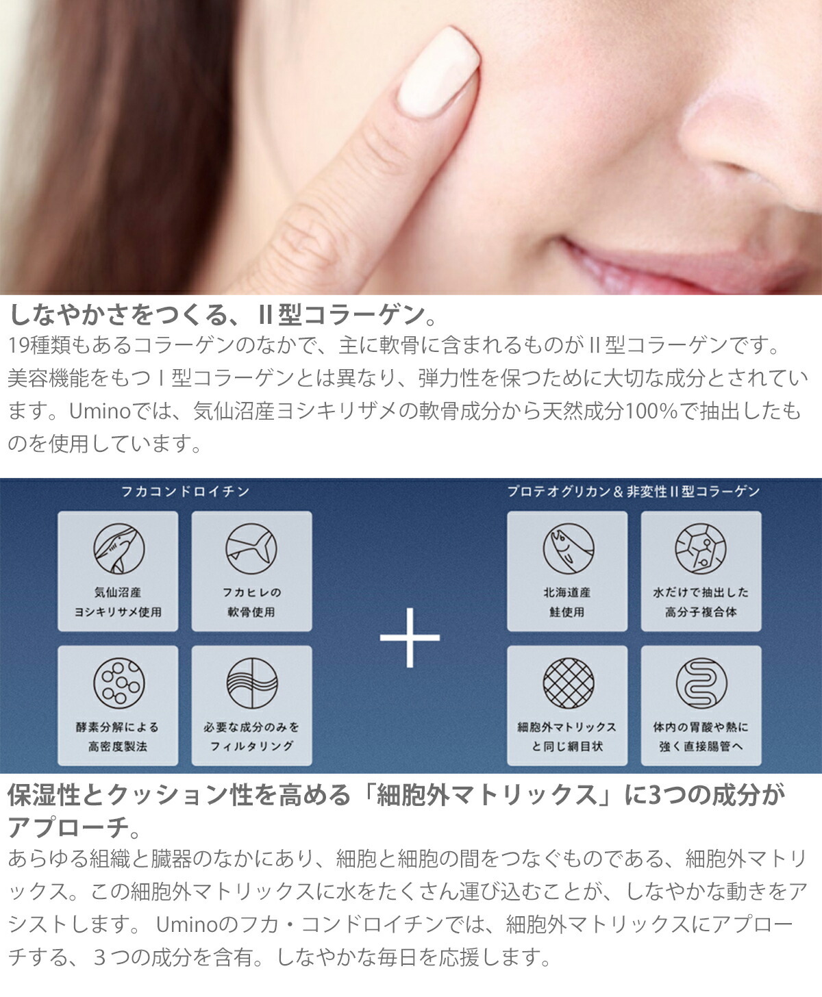 umino フカ コンドロイチンプラス 30g（250mg×約120錠）