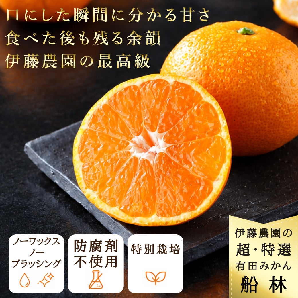 みかん 超特選 有田みかん 送料無料 小玉 高級 糖度12度以上 光センサー選果 船林 ふなりん S M 12～14個 和歌山 手詰め ご当地 お贈答 結婚 出産 内祝い 誕生日プレゼント ギフト 誕生日 結婚祝い 出産祝い 内祝い ギフト