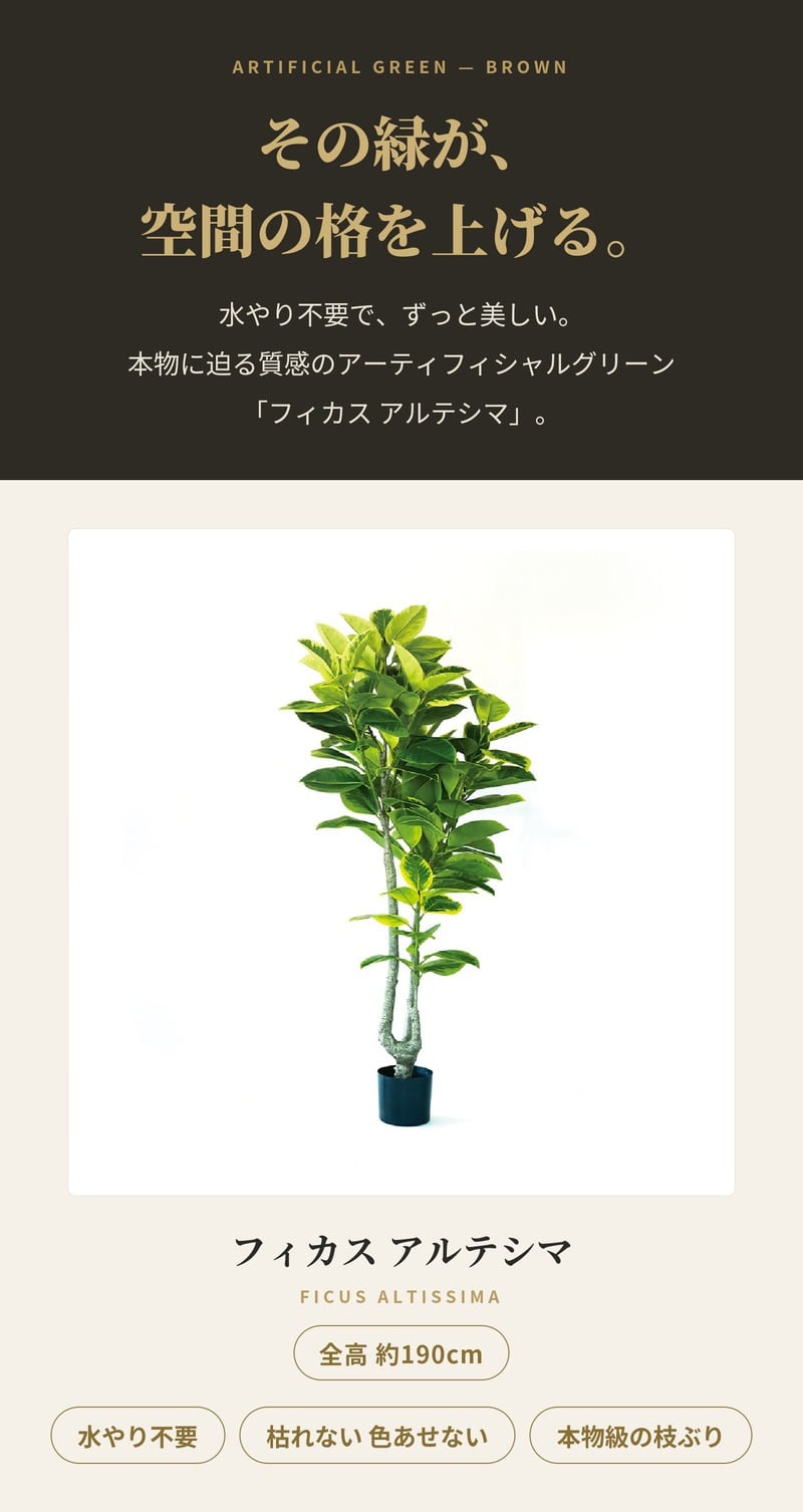 観葉植物 造花 フィカス アルテシマ BROWN 全高約190cm 大型 2本立ち フェイクグリーン 高級 本物そっくり リアル おしゃれ インテリア 人工観葉植物 アーティフィシャルグリーン シンボルツリー オフィス 店舗 ホテル 開店祝い 室内 リビング 玄関 風水 ゴムの木
