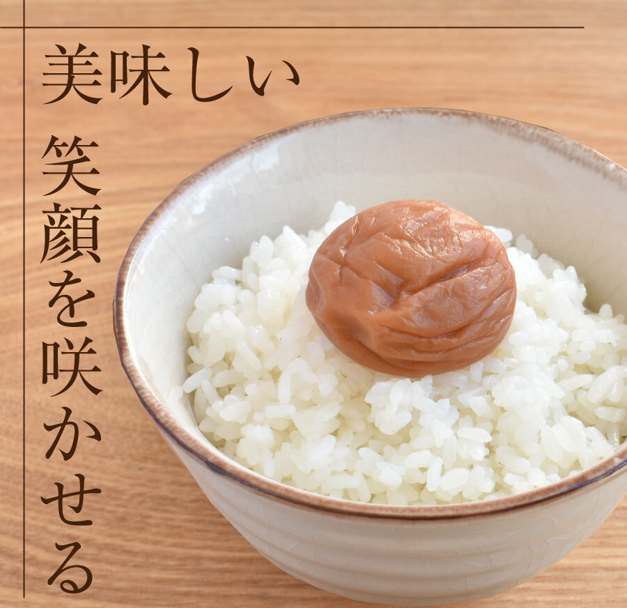 【特選紀州南高梅】【あまみつ梅250g×2パック（塩分約5％）】【紀州産】【調味梅干】減塩のはちみつ梅干し つけもの 梅干し ギフト プレゼント 内祝