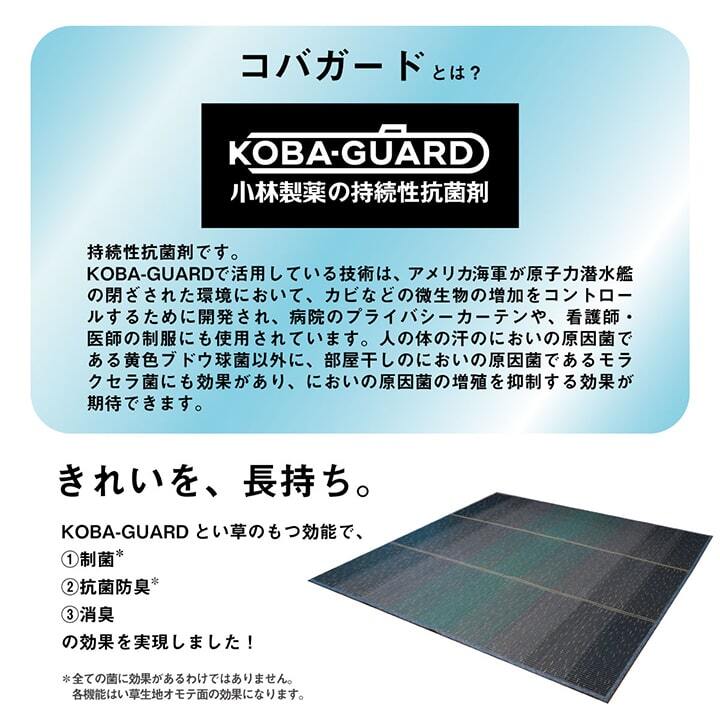 夏ラグ 夏用カーペット ラグ 小林製薬 持続性抗菌剤 KOBA-GUARD 制菌 抗菌防臭 滑り止め 不織布 夏 い草 グラデーション 約190×190cm