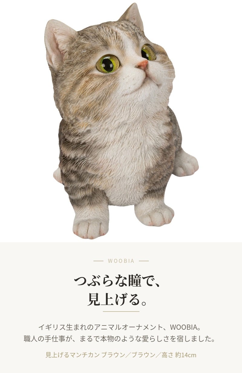 置物 猫 見上げるマンチカン ブラウン 幅16cm woobia ウービア リアル かわいい おしゃれ 玄関 インテリア オブジェ ガーデン マンチカン キジトラ ネコ 動物 アニマル 癒し 棚 北欧 リビング プレゼント ギフト 新築祝い 猫好き