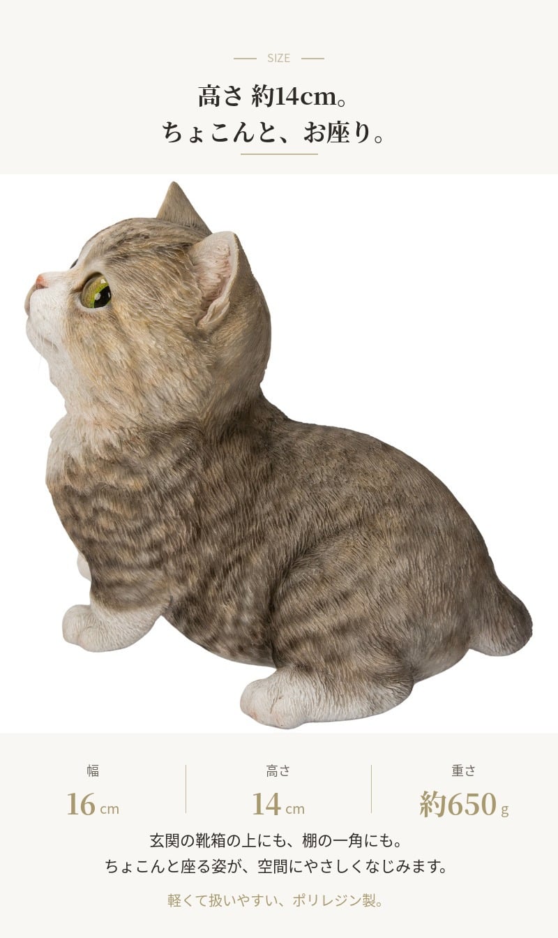 置物 猫 見上げるマンチカン ブラウン 幅16cm woobia ウービア リアル かわいい おしゃれ 玄関 インテリア オブジェ ガーデン マンチカン キジトラ ネコ 動物 アニマル 癒し 棚 北欧 リビング プレゼント ギフト 新築祝い 猫好き