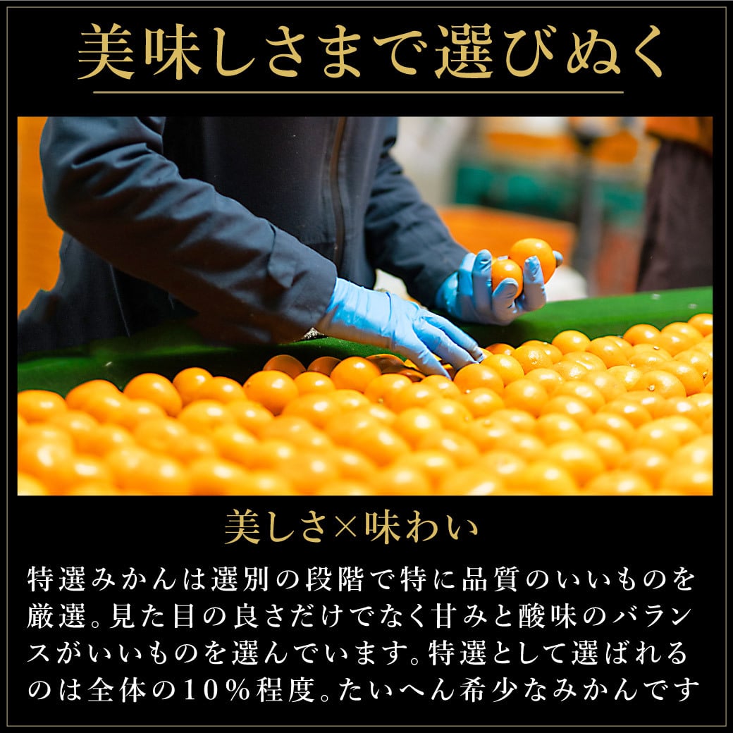 みかん 10kg 贈答用 秀品 特選 送料無料 和歌山 S～２L 混合 伊藤農園 小玉 大玉 中玉 手詰め 有田みかん 温州みかん 約70～100個 果物 柑橘贈答 ギフト 誕生日 結婚祝い 出産祝い 内祝い ギフト