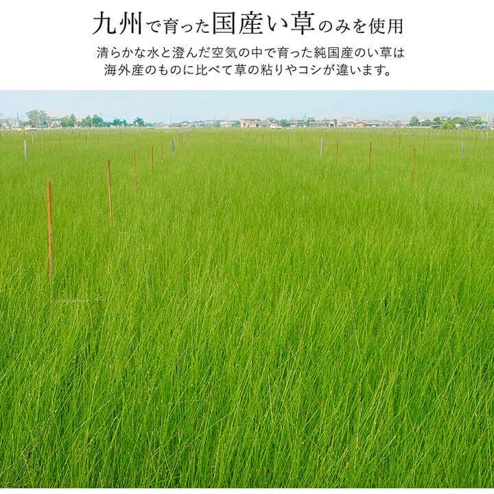 夏ラグ 夏用カーペット ラグ い草 国産 純国産 日本製 シンプル 無地風 抗菌防臭 自然素材 ウレタン 約191×250cm