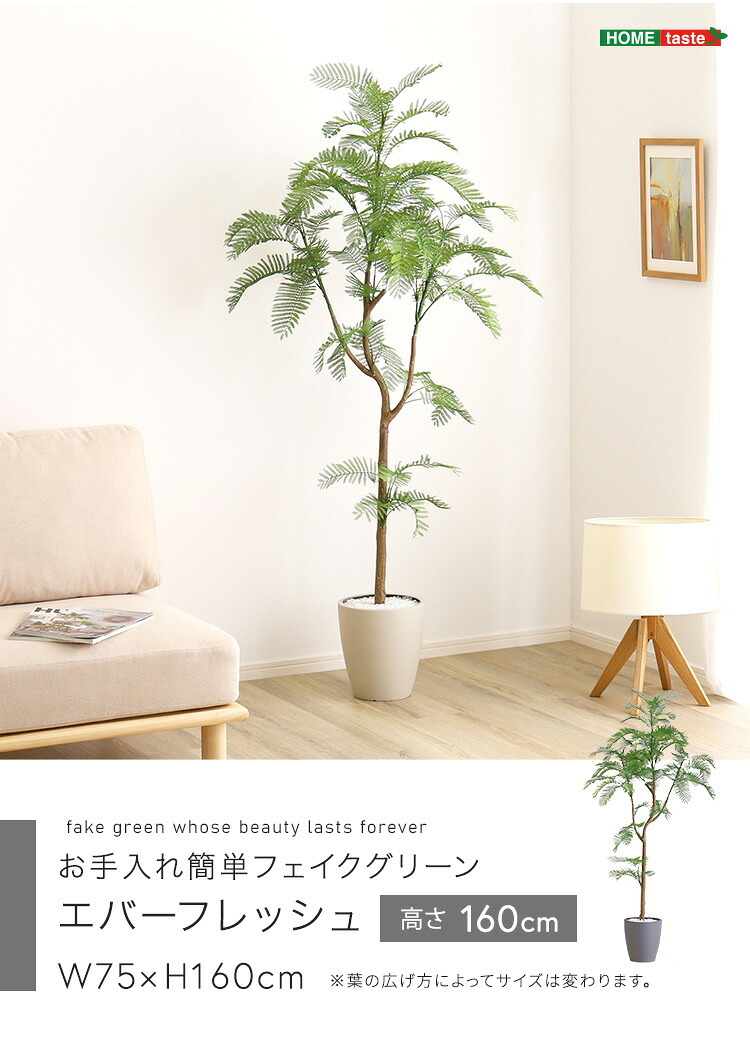 お手入れ簡単 フェイクグリーン エバーフレッシュ Mサイズ(160cm) 新築祝い 開店祝い
