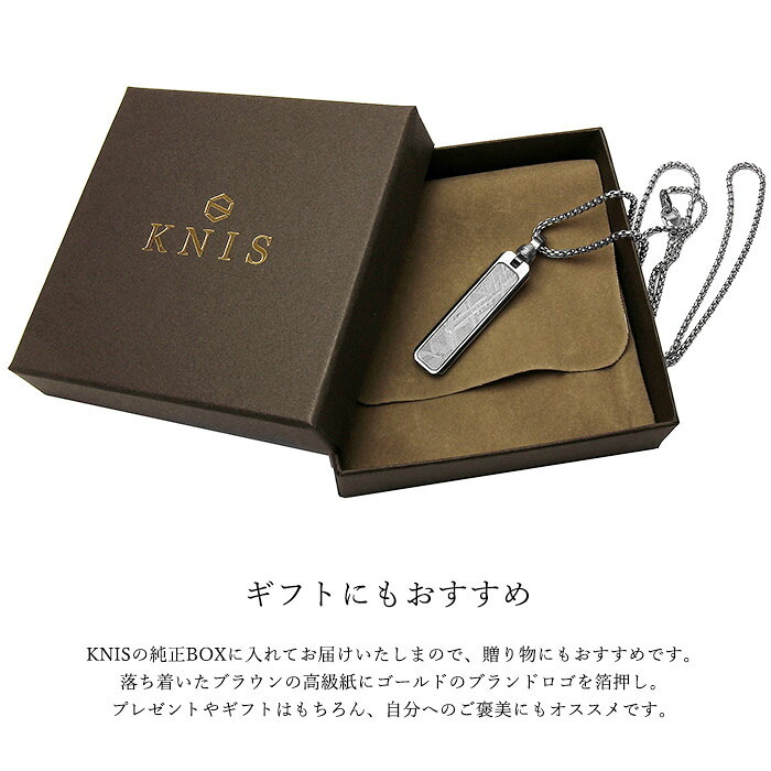 KNIS ニス メテオライト 隕石 ネックレス メンズ シンプル プレート ステンレス 人気 ブランド ペンダント KN-NC002