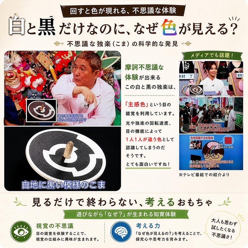 [日本製安心おもちゃ]　美しい色遊び独楽（12個セット）日本グッドトイ受賞 　[綺麗な木のおもちゃ 日本グッド・トイ委員会選定おもちゃ 知育玩具 1歳 2歳 3歳 4歳 5歳 6歳 7歳 8歳 幼児子供～高齢者 小学生 誕生日ギフト～出産祝いにお薦め♪ 玩具 こま コマ 日本製 色かわり 色変わり がわり 親子 木育 家族 ]