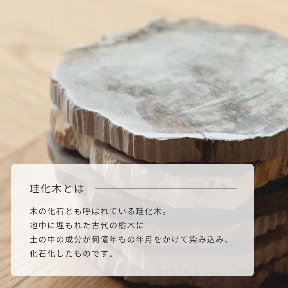 amabro アマブロ WOOD COASTER ウッドコースター 木のコースター 木製コースター 木製 珪化木 村上美術 コースター プレート