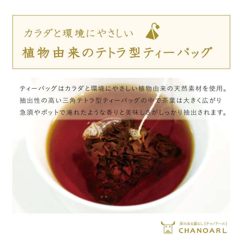国産無添加 フルーツティー＆水出しボトルセット｜和紅茶 国産ドライフルーツ 砂糖不使用 フルーツティー 水出し茶 アイスティー お茶ギフト おしゃれ ギフト 誕生日 お祝い 母の日 お歳暮 お年賀 クリスマス プレゼント