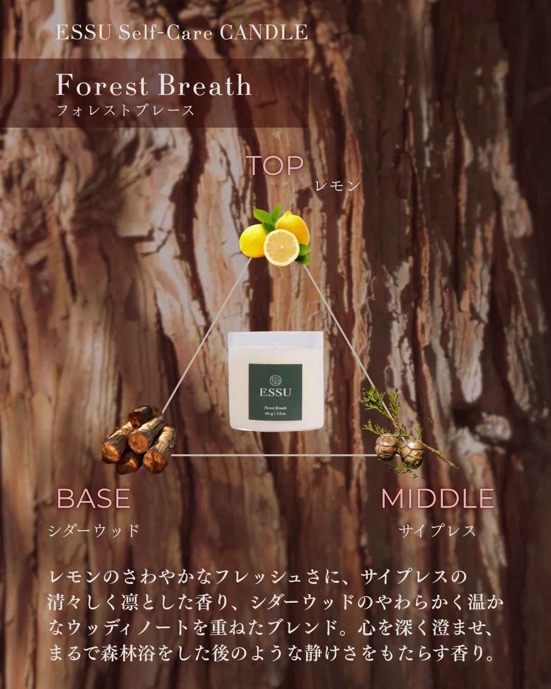Forest Breath(フォレストブレース) アロマキャンドル