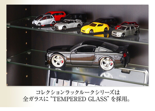 ラック コレクション -Luke-ルーク 浅型ハイタイプ セット 本体+上置き CLR-485SET--WH ホワイト 幅48.5×奥19×高48cm ホームテイスト コレクションケース ディスプレイケース ガラスケース ショーケース 飾る 新生活