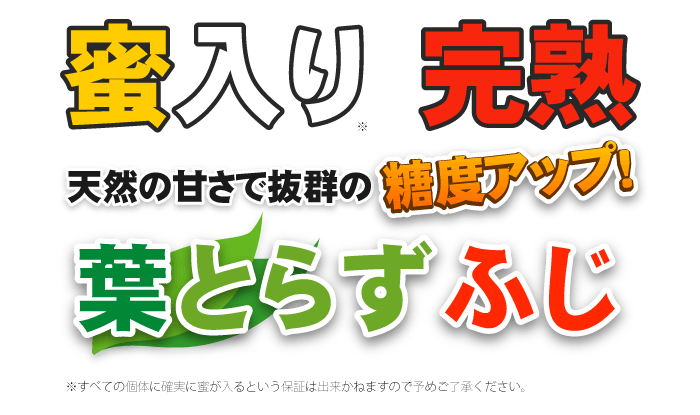 【11月中旬頃発送】一華ベジフル 送料無料 葉とらず サンふじ 家庭用 3C箱(3kg箱:約7～10個入) りんご 青森県産 蜜入りリンゴ 蜜入りりんご 訳あり 葉取らず 林檎 送料無料 ギフト 御歳暮 お歳暮 ギフト お試し フルーツ 果物 クリスマス お正月 2026