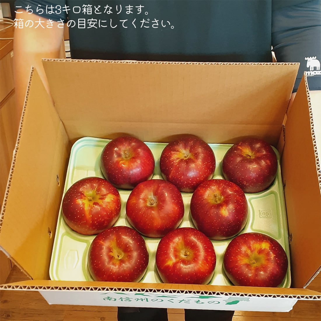 【予約】長野県産りんご 秋映 訳あり ご自宅用 果物 フルーツ お取り寄せ 産地直送 【送料無料(一部地域除く)】