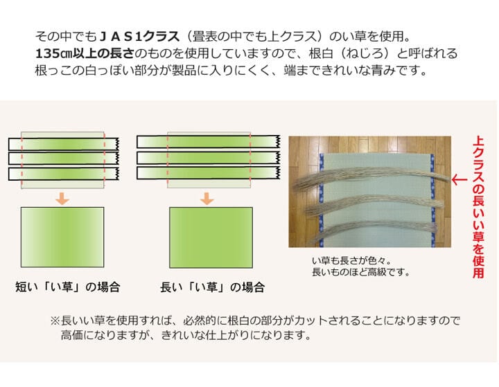 夏ラグ 夏用カーペット 純国産 い草 上敷き カーペット 麻綿織 『清正』 江戸間1畳(約88×176cm） 熊本県八代産イ草使用