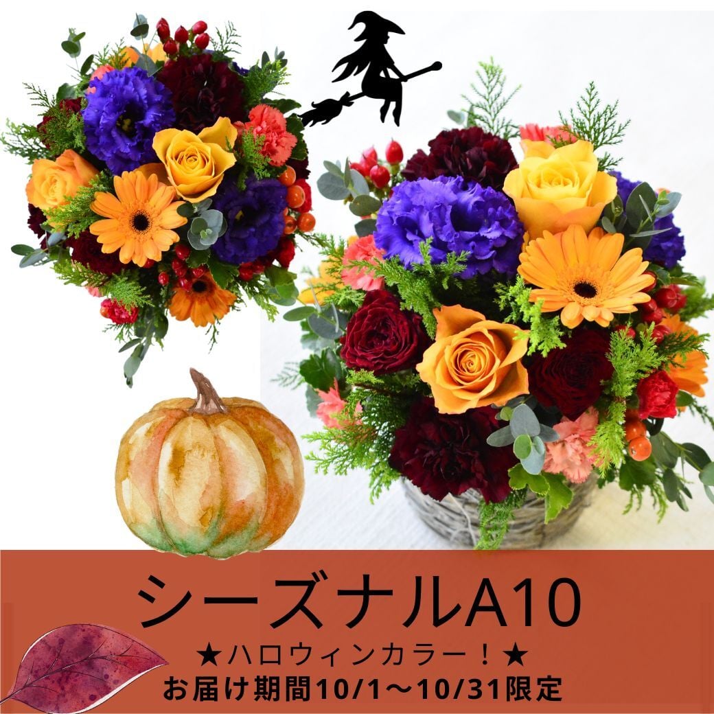 即日発送 ＡＲＮＥのお任せアレンジメントＭサイズ★選べる5色＆5タイプ/おまかせＯＫのフラワーアレンジメント♪【送料無料】【生花】【アレンジメント】色を選んでおまかせ 誕生日 お祝い 結婚式 展示会 楽屋花 出産お祝い 記念日ギフト 敬老の日 お見舞い プレゼント フラワーギフト お中元 お歳暮