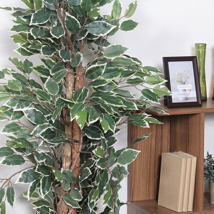 ガーデン エクステリア 観葉植物 フィカス ６９０ Ａ フェイクグリーン 植物 緑 グリーン 癒し 植木 インテリア ガーデニング おしゃれ カフェ リビング プランター ギフト プレゼント 贈り物 オフィス 会社 枯れない 簡単 手入れ 人気 樹木