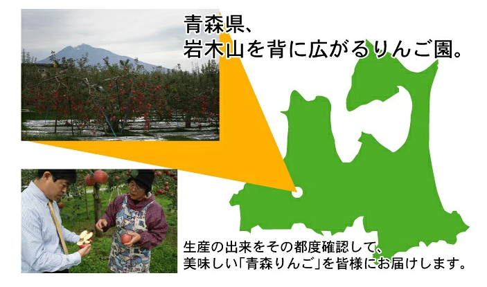 【11月下旬頃発送】青森 りんご 王林 ＆ サンふじ ミックス 家庭用 5C箱(約5kg:13～16個入)  一華ベジフル ふじ ふじりんご 蜜入り リンゴ 林檎 アップル 贈答 ギフト ３キロ 5キロ 10キロ 訳あり 糖度 青森産 青森県産 青森名産 2026 お歳暮【送料無料】