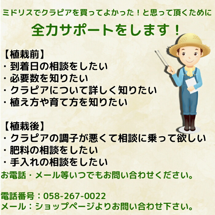 クラピア K5（薄桃）  20株 すくすくセット 完全植栽マニュアル付き 苗20ポット 肥料 活力剤 2種（有機入り一発果菜肥料、メネデール） イワダレソウ改良種 グランドカバー プランツ 雑草対策 庭 ガーデニング diy 緑化 おすすめ ガーデン 植物 多年草