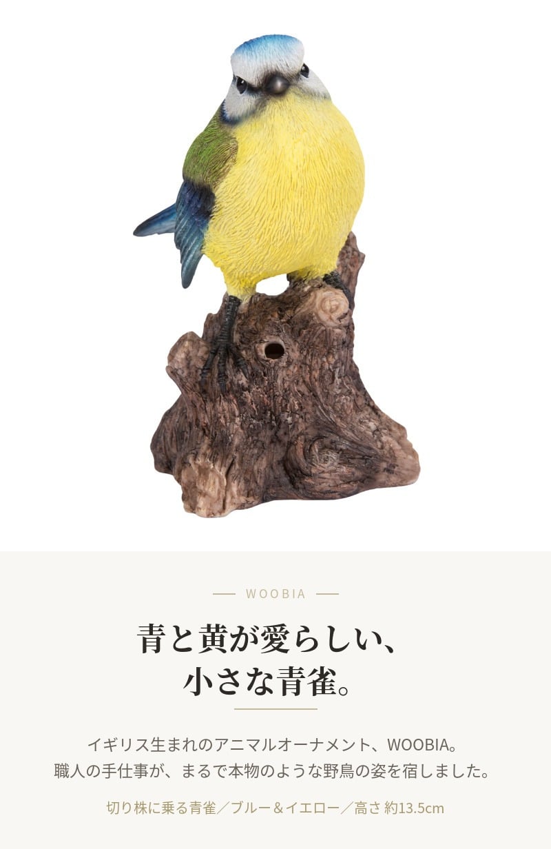 置物 鳥 青雀 高さ13.5cm woobia ウービア アオガラ 野鳥 リアル おしゃれ 玄関 インテリア オブジェ ガーデン 北欧 ナチュラル 小鳥 動物 アニマル 癒し 鳥好き 出窓 棚 プレゼント ギフト バードウォッチング