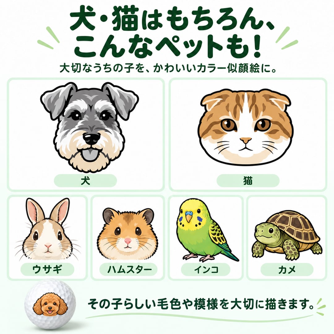 ペット似顔絵 ゴルフボール 6球 カラー 名入れ ペットの写真から作る オーダーメイド 犬 猫 うさぎ ハムスター インコ カメ キャロウェイ WARBIRD オリジナル ゴルフ プレゼント ペット好き 誕生日 記念日 ギフト