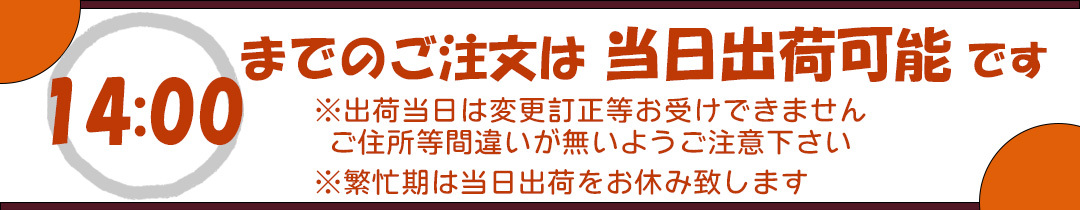 【BlackGemハロウィンのフラワーアレンジメント】 即日発送　レビューを書いて送料無料　生花 アレンジ 誕生日に 色を選んで 花はおまかせ ワンサイドタイプ 生花 アレンジメント プレゼント 誕生日 結婚祝い 記念日 お見舞 送別 新築祝い 敬老の日 ウエディング  御祝 出産 ホワイトデー  お歳暮