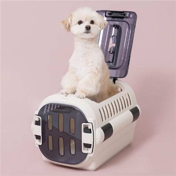 リッチェル キャンピングキャリー ファインR ダブルドア S グリーン 日本製 ペットキャリー ハード 犬 猫 小型犬 うさぎ キャリーケース キャリーバッグ ハウス クレート お出かけ ドライブ 通院