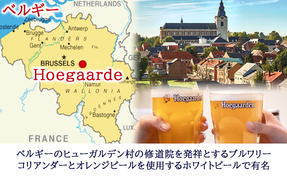 御祝い ビールギフト 3種飲み比べセット【無料 リボンラッピング メッセージカード】ベルギービール 330ml 5本 ヒューガルデン ロシュフォール8  ロシュフォール10 贈答 ギフト箱付 熨斗対応 会社 上司 取引先 送料無料