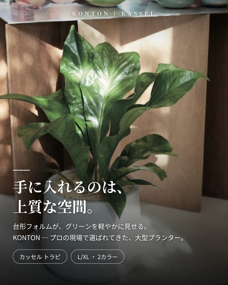 鉢カバー おしゃれ 大型 15号 11号 円柱 台形 テーパー セメント コンクリート調 KONTON カッセル トラピ ファイバーセメント 軽量 底穴なし 屋外 L XL ウォッシュグレー ダークグレー 観葉植物 シンボルツリー 北欧 モダン ナチュラル インテリア