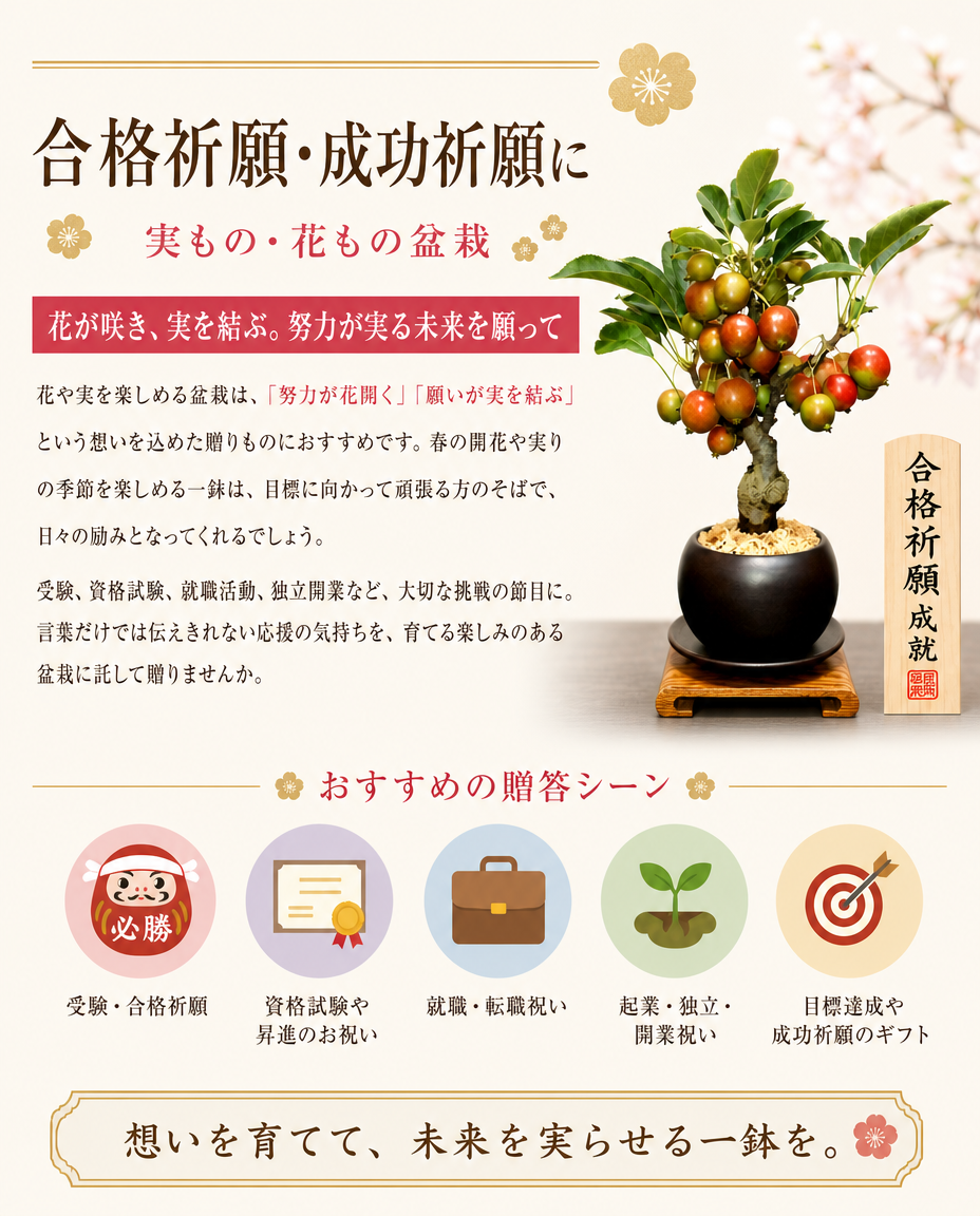おすすめギフト 盆栽 姫りんご 大人気 健康祈願 ミニ盆栽 癒し 植物 花が咲く 出産祝い盆栽 風水開運盆栽 盆栽 ミニ 室内 初心者 引っ越し祝い 癒し 植物 父親 誕生日 プレゼント 盆栽 ギフト 令和