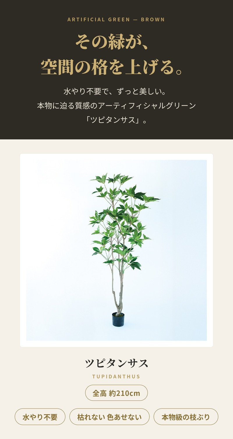 観葉植物 造花 ツピタンサス BROWN 全高約210cm 大型 3本立ち フェイクグリーン 高級 本物そっくり リアル おしゃれ インテリア 人工観葉植物 アーティフィシャルグリーン オフィス 店舗 ホテル 開店祝い 室内 リビング 玄関 風水 ツピダンサス