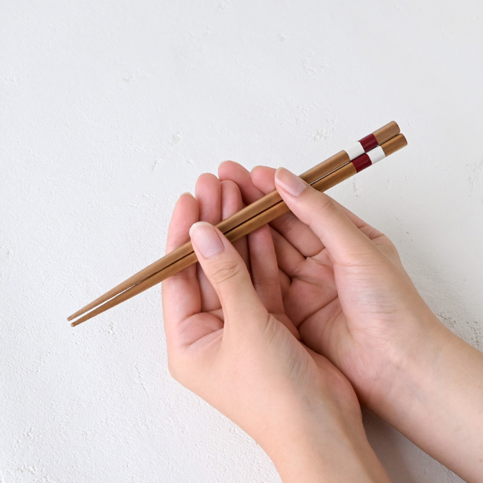 【名入れ 箸】若狭塗 色格子 夫婦箸 ペア箸 プレゼント ギフト 箸 セット 名入れ おしゃれ 日本製 母の日 父の日 敬老の日 結婚祝  誕生日プレゼント お餞別 退職祝  伝統工芸・ 和遊感