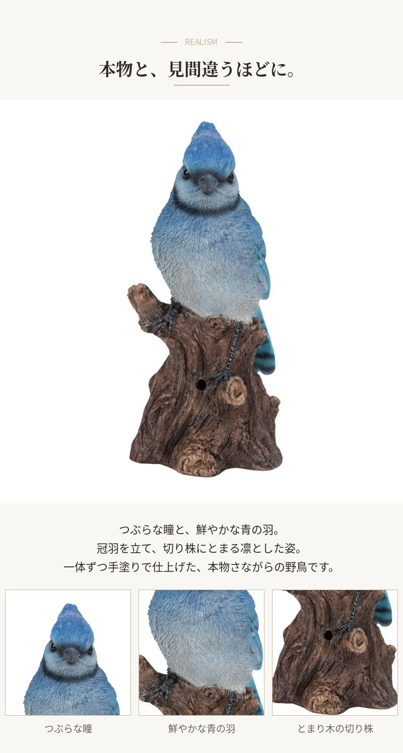 置物 鳥 アオカケス 高さ16cm woobia ウービア 野鳥 リアル おしゃれ 玄関 インテリア オブジェ ガーデン 北欧 ナチュラル 青い鳥 動物 アニマル 癒し 小鳥 鳥好き 出窓 棚 プレゼント ギフト バードウォッチング