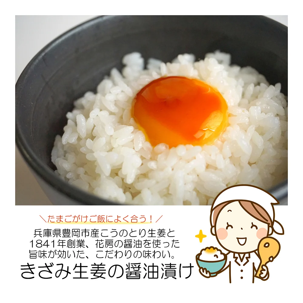 ご飯に合う!こうのとり生姜でしょうがシリーズ（きざみ生姜の醤油漬け：120g・炊き込みご飯の素：160g・生姜焼きの旨ダレ）調味料