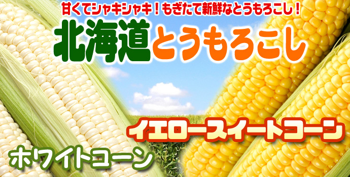 イエロースイートコーン 北海道 とうもろこし 20本入 送料無料 ※沖縄は送料別途加算