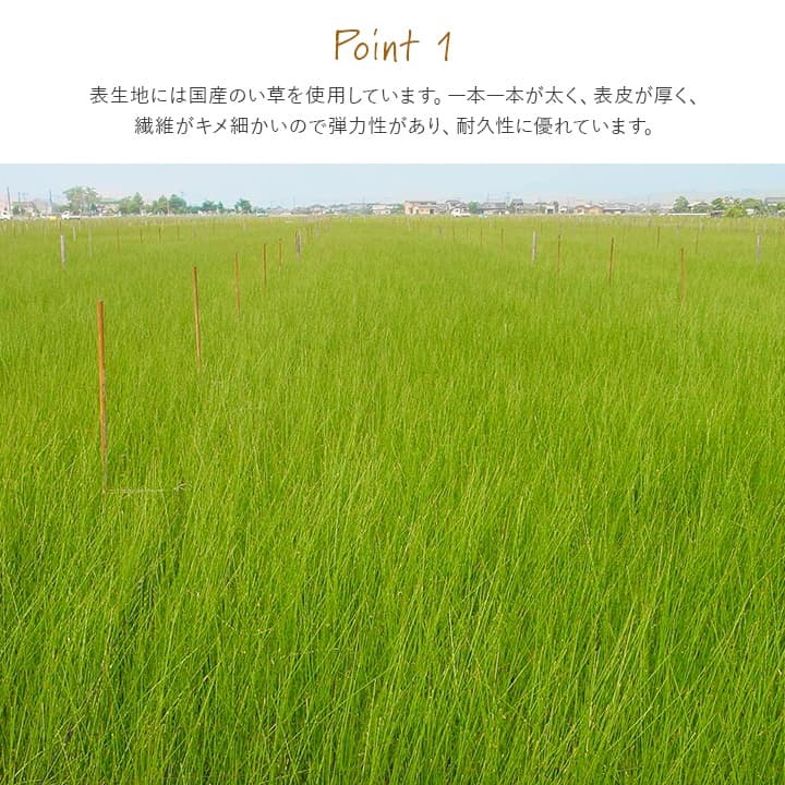 撥水 国産 い草 日本製 置き畳 ユニット畳 簡単 和室 ナチュラル 約88×88cm 単品