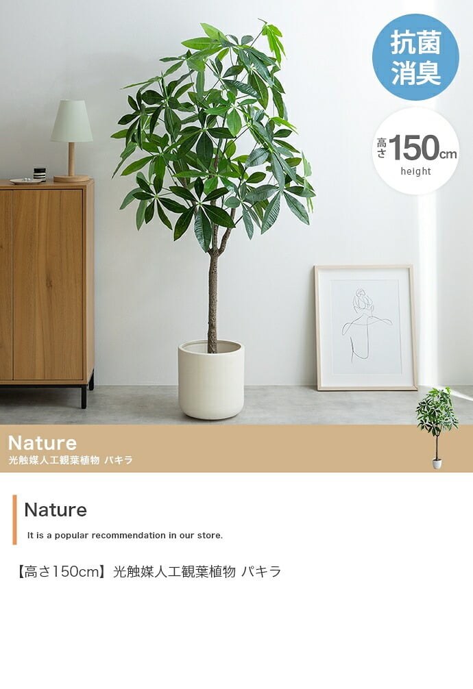 照明 ライト パキラ 観葉植物 人工 フェイクグリーン 室内 リビング オフィス 一人暮らし 緑 インテリア 光触媒 空気清浄 消臭 抗菌 防汚 ホルムアルデヒド分解 おしゃれ 高さ150cm 造花 植木 鉢植え 新築祝い 開店